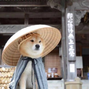 西秀区第一深情