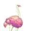 Pink_Ostrich234