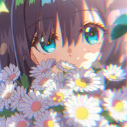 我没医保我先走