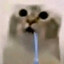 фто?