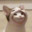 4-4 Classic Enjoyer