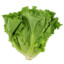 Lettuce