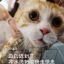胯下有杀气