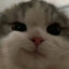 бритые_яички's avatar