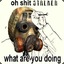 S.T.A.L.K.E.R.