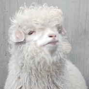 生生灯火明暗无辄