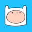 Finn The Human