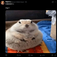 cam