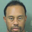 DUI Tiger Woods