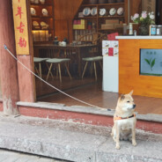 蒙娜丽莎达芬奇