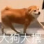 69岁的老同志