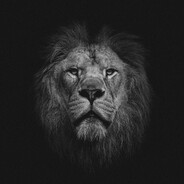 THEASLAN Steam avatar