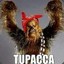 Chewbaca127