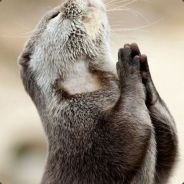 i want to play a game