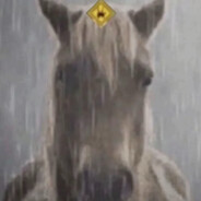 我仍然听得见那声叹息