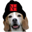 Nate Hound