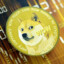 DogeCoin