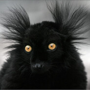 RM幸 l ZLOY_KITI l Prostoj