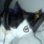 renn