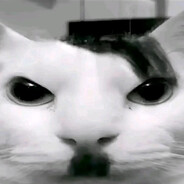 El terror de las Wawitas :>