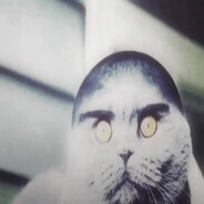 123