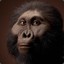 Paranthropus