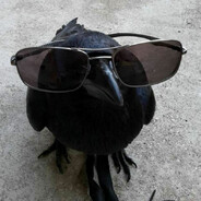 Pukeko