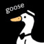 Cgoose