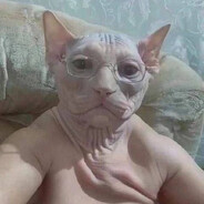 31 ддд