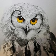 SuperOwl