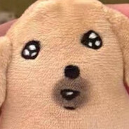 AAA专业生猛的木工崔师