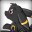 shadowwolftjc