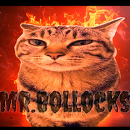MR.BOLLOCKS