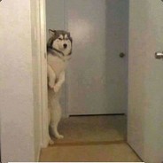 Nightraven