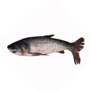 康师傅无糖可乐