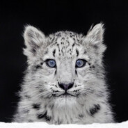 梦见爱抽电子烟的你