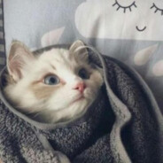 安安静静便一生