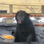 我跟肘子对着干