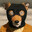ETANFOX