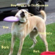 Bork