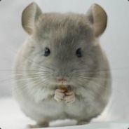 Chinchilla