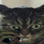 ТРУБОЁБ ТОЛИК