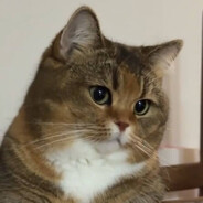 Volodya_ avatarı