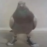 j3rr ッ