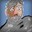 pepe drink water Steam avatar
