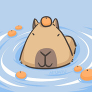 brown capybara