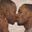 黒人男性のキスが好き