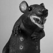 Rat