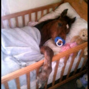 nasten <З - steam id 76561198836122324