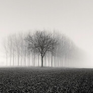 mediff - steam id 76561199507025274